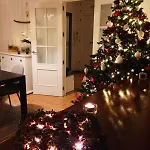 Pinos Malaga With Private Pool, Garden, Bbq 알하우린데라토레