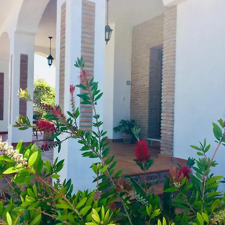 Pinos Malaga With Private Pool, Garden, Bbq